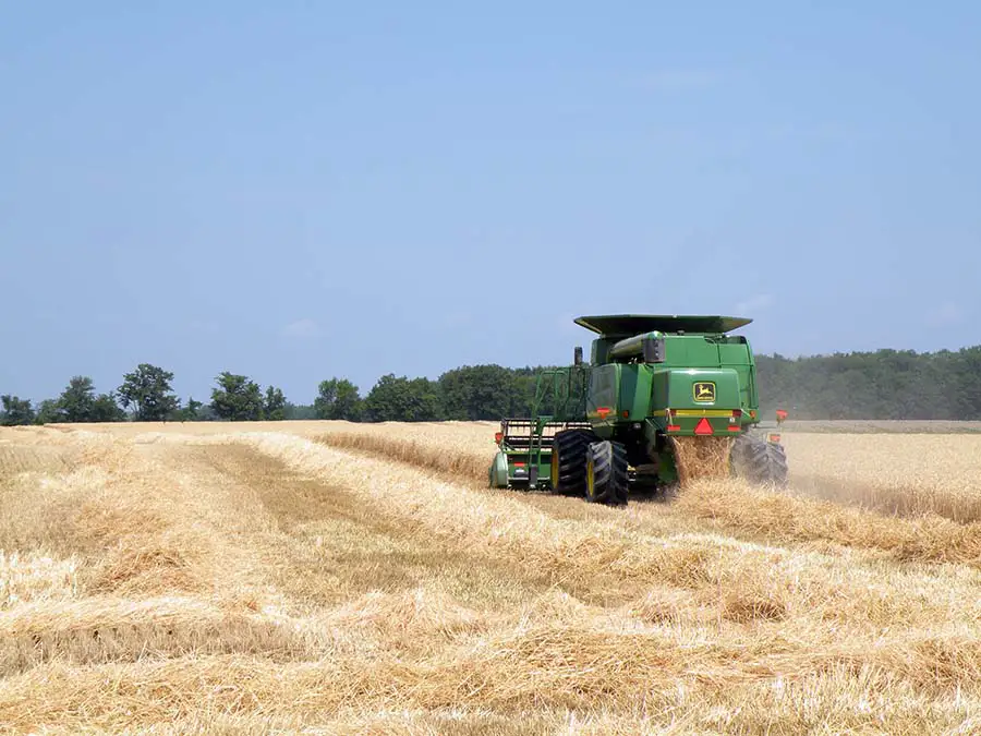 Combining Wheat